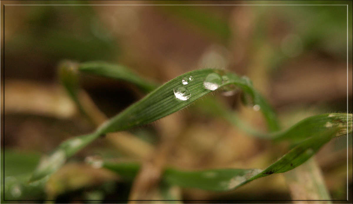 �������� ������ ����� ������  �� PhotoGeek.ru #������ ��� �������