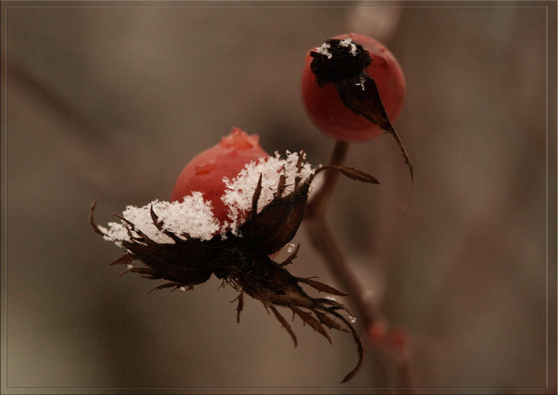 ������ ��������� ������ 3 ����� ������  �� PhotoGeek.ru #������ ��� �������