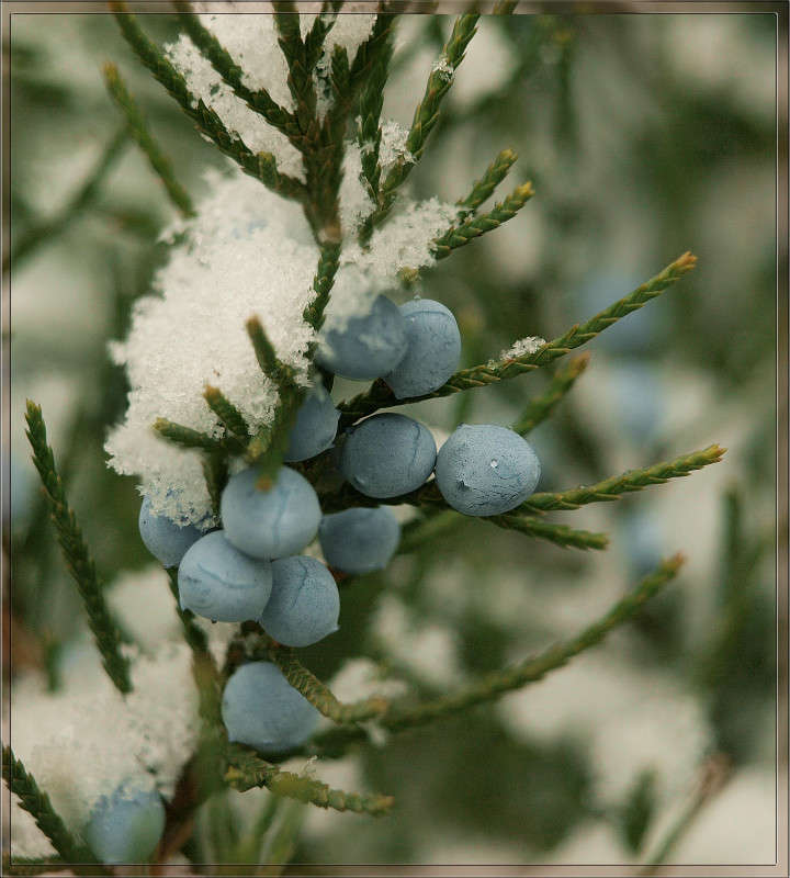 ������ ��������� ������ 2 ����� ������  �� PhotoGeek.ru #������ ��� �������