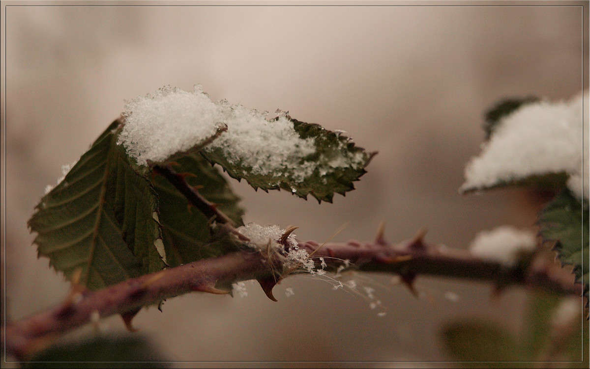 ������ ��������� ������ ����� ������  �� PhotoGeek.ru #������ ��� �������