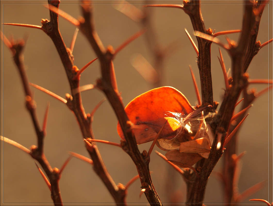 ���������� ����� ������  �� PhotoGeek.ru #������ ��� �������