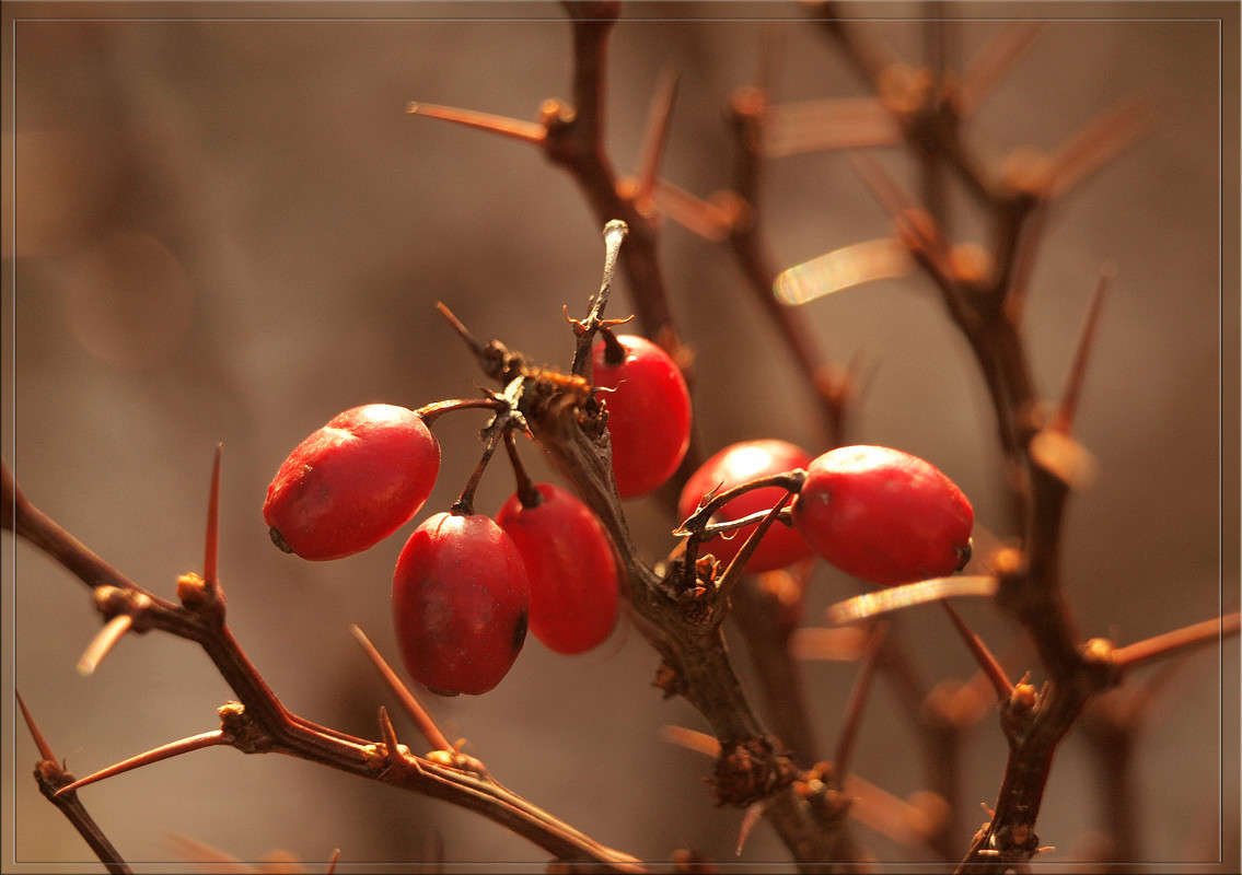 ������������ ����� ������  �� PhotoGeek.ru #������ ��� �������