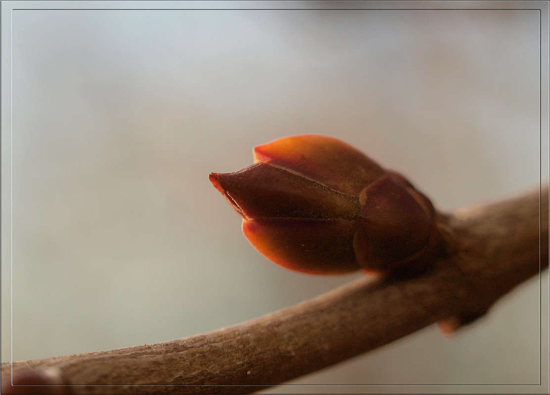 ����� ������ � ������ ����� ������  �� PhotoGeek.ru #������ ��� �������