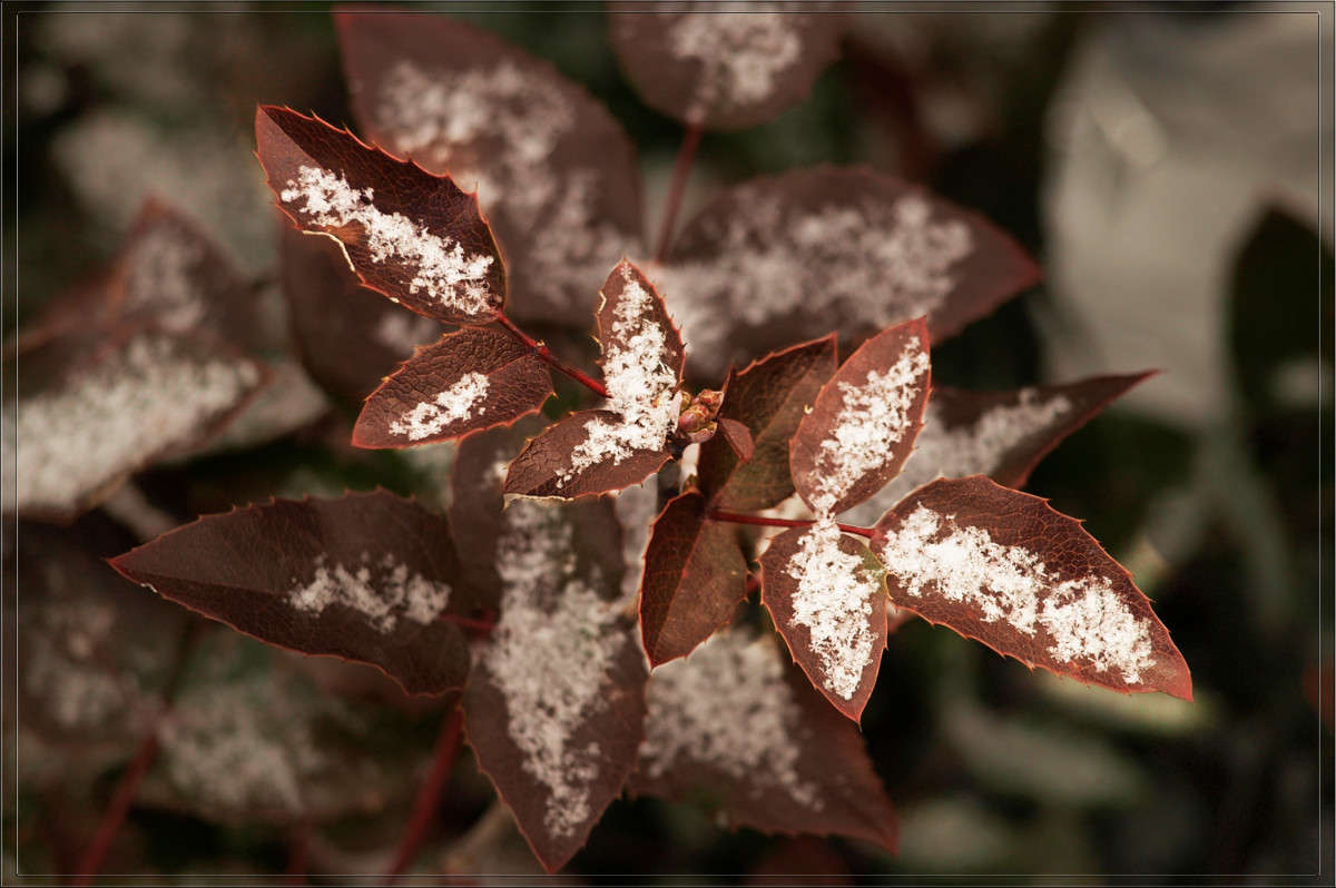 ���� ����������� ����� ������  �� PhotoGeek.ru #������ ��� �������