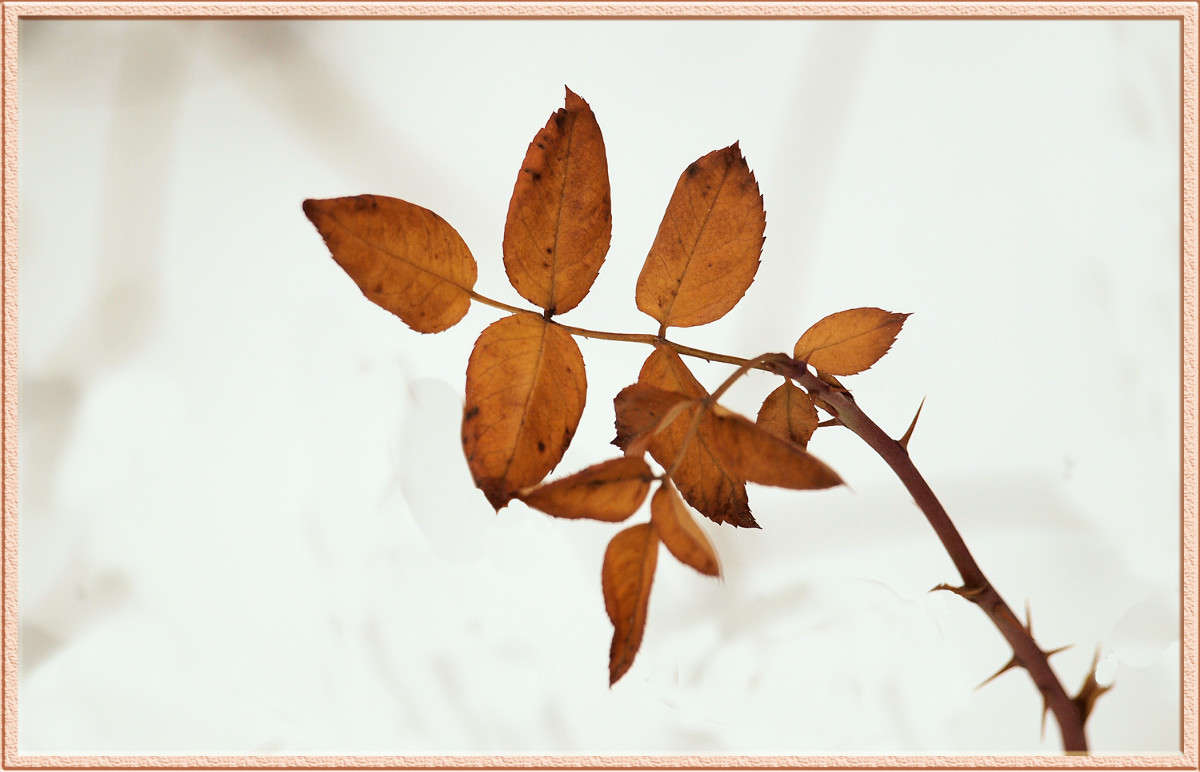 ������ ���� ����� ������  �� PhotoGeek.ru #������ ��� �������