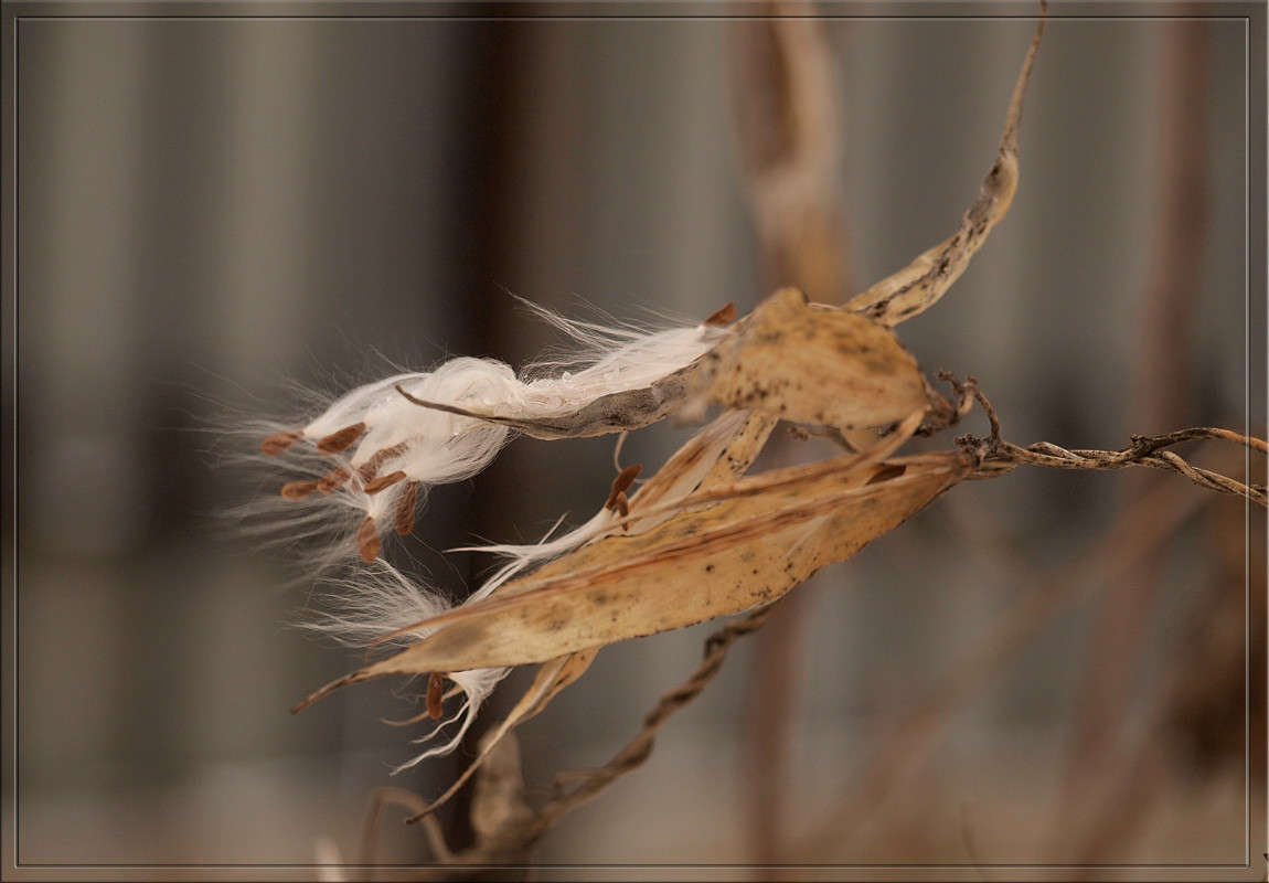 �� ����� ����� ������  �� PhotoGeek.ru #������ ��� �������