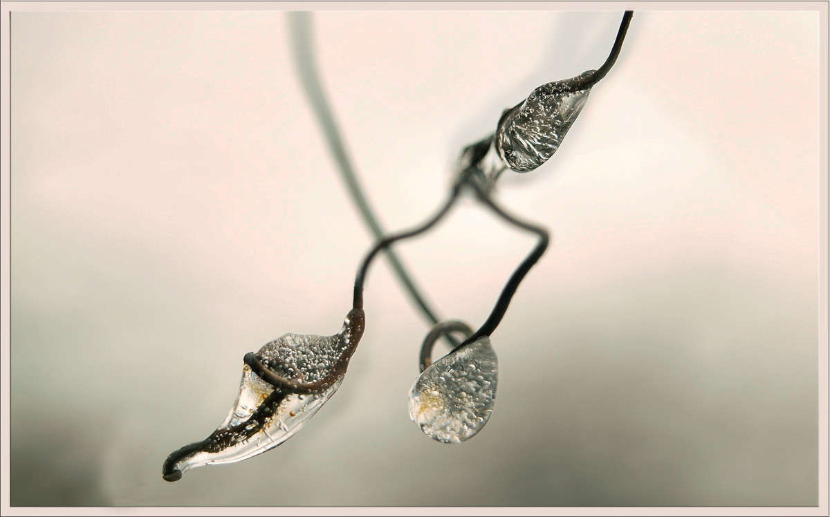 ����� �������� ����� ����� ������  �� PhotoGeek.ru #������ ��� �������