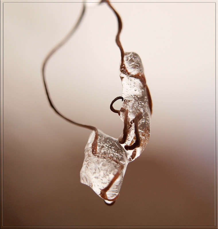 ����� �������� ����� 2 ����� ������  �� PhotoGeek.ru #������ ��� �������