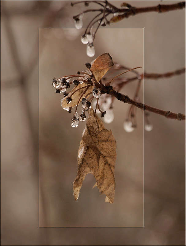 ����� �������� ����� 3 ����� ������  �� PhotoGeek.ru #������ ��� �������