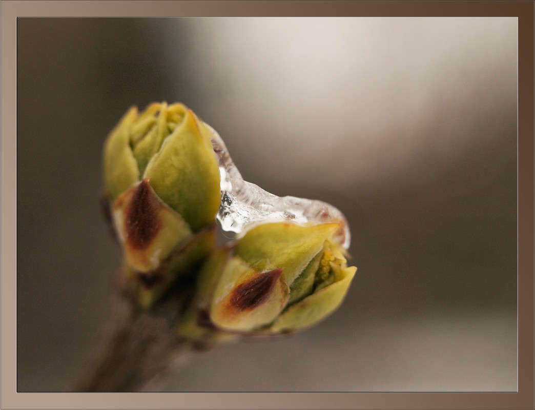 ����� �������� ����� 4 ����� ������  �� PhotoGeek.ru #������ ��� �������