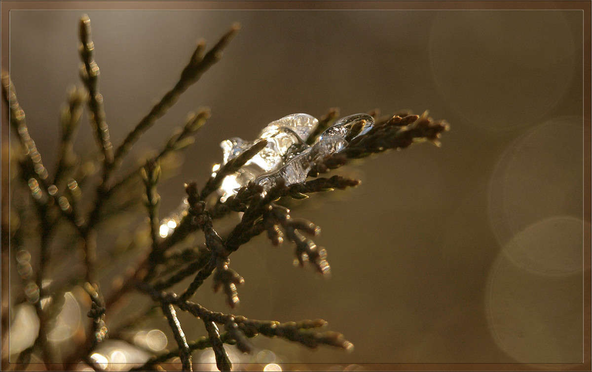 ����� �������� ����� 5 ����� ������  �� PhotoGeek.ru #������ ��� �������