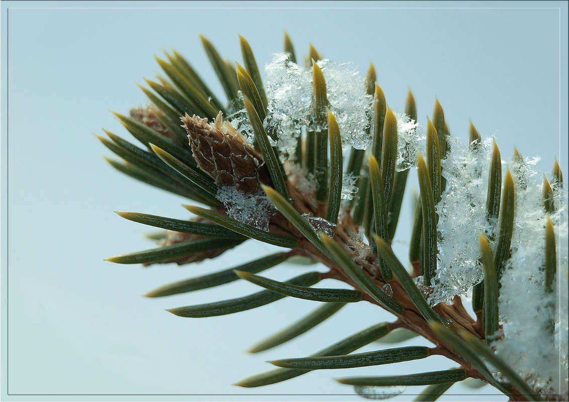 ������ �������� ������� ����� ������  �� PhotoGeek.ru #������ ��� �������