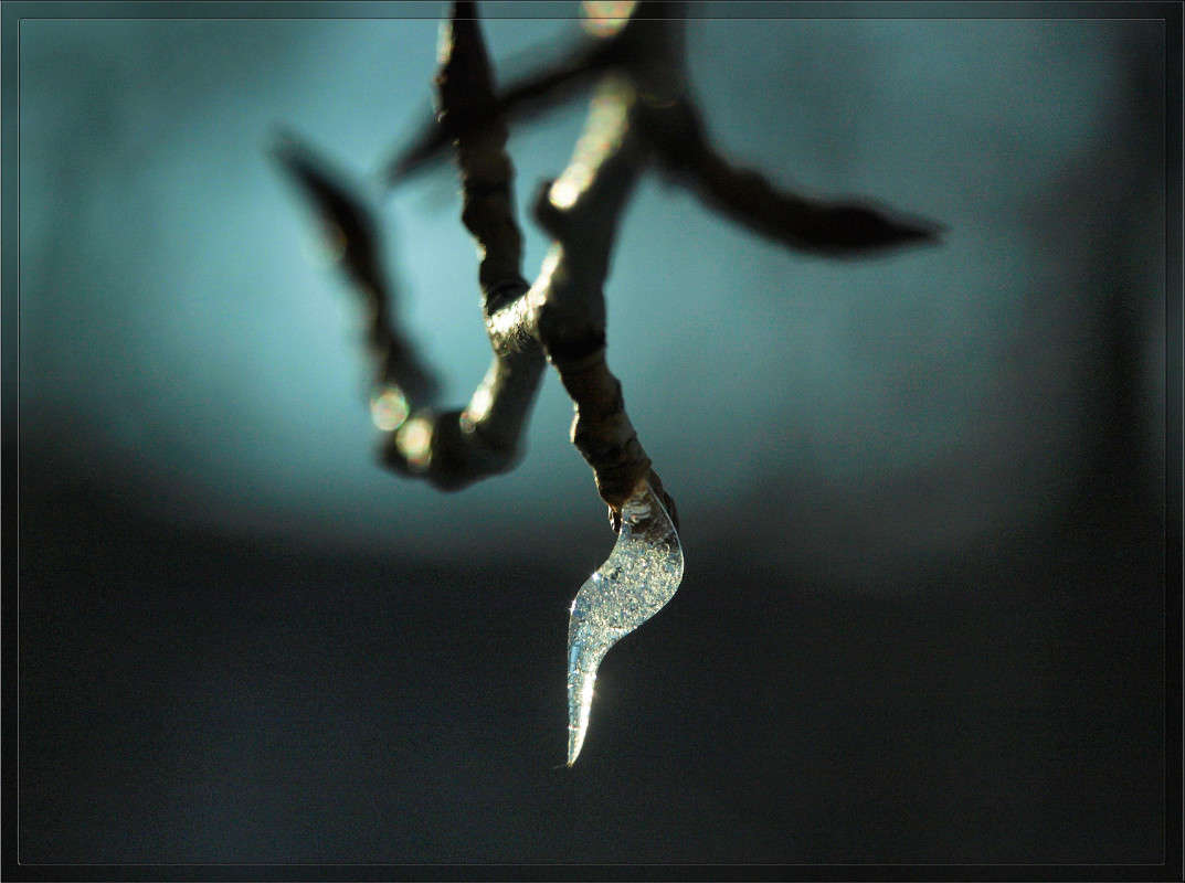 ����� �������� ����� 7 ����� ������  �� PhotoGeek.ru #������ ��� �������