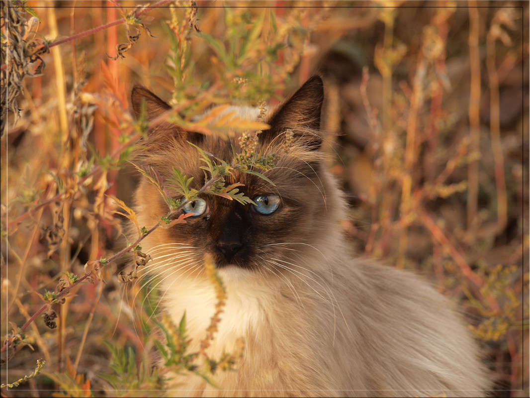 ��������� .jpg ����� ������  �� PhotoGeek.ru #�������� ���