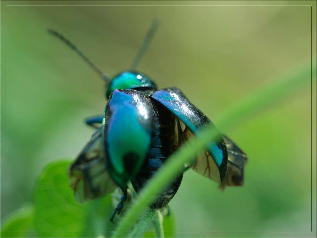 �� ����� ����� ������  �� PhotoGeek.ru #�����