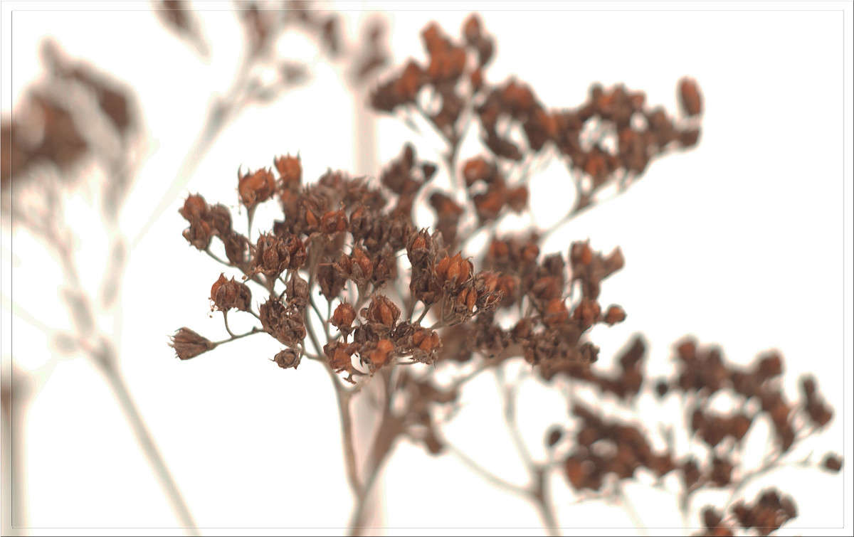 ������ ��������� ����� ������  �� PhotoGeek.ru #������ ��� �������