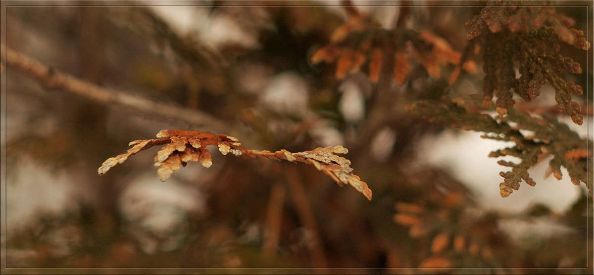 ��������� ����� ������  �� PhotoGeek.ru #������ ��� �������