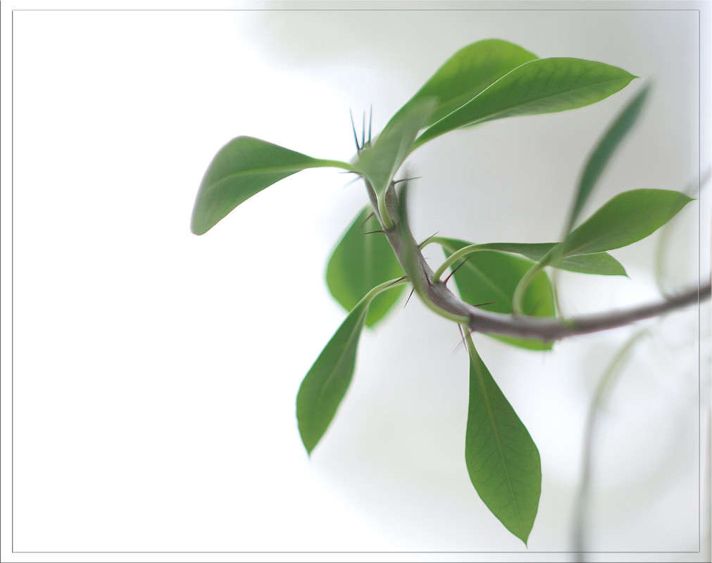 ������� �������� ����� ������  �� PhotoGeek.ru #�������� ����������