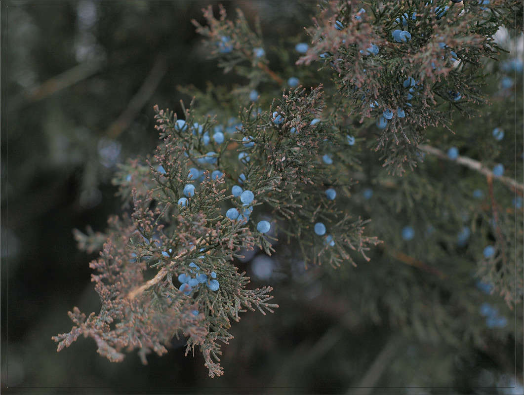 ����������� ������ ����� ������  �� PhotoGeek.ru #������ ��� �������