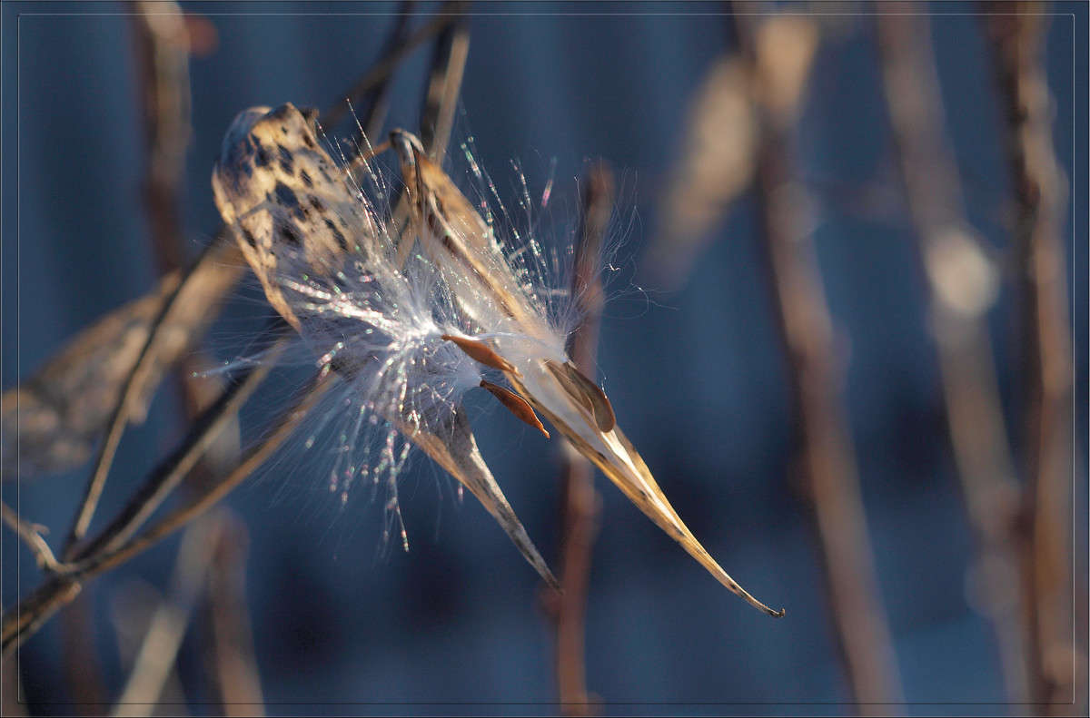 ������� � ��������� ����� ������  �� PhotoGeek.ru #������ ��� �������