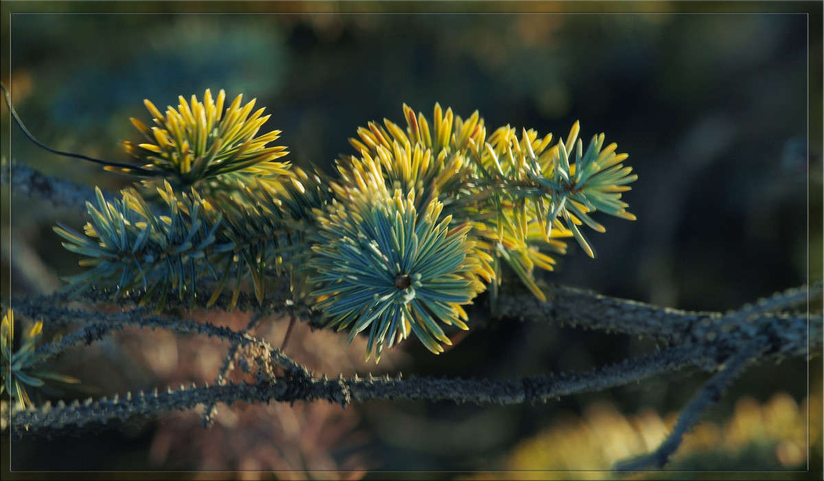 ������������ ����� ������  �� PhotoGeek.ru #������ ��� �������