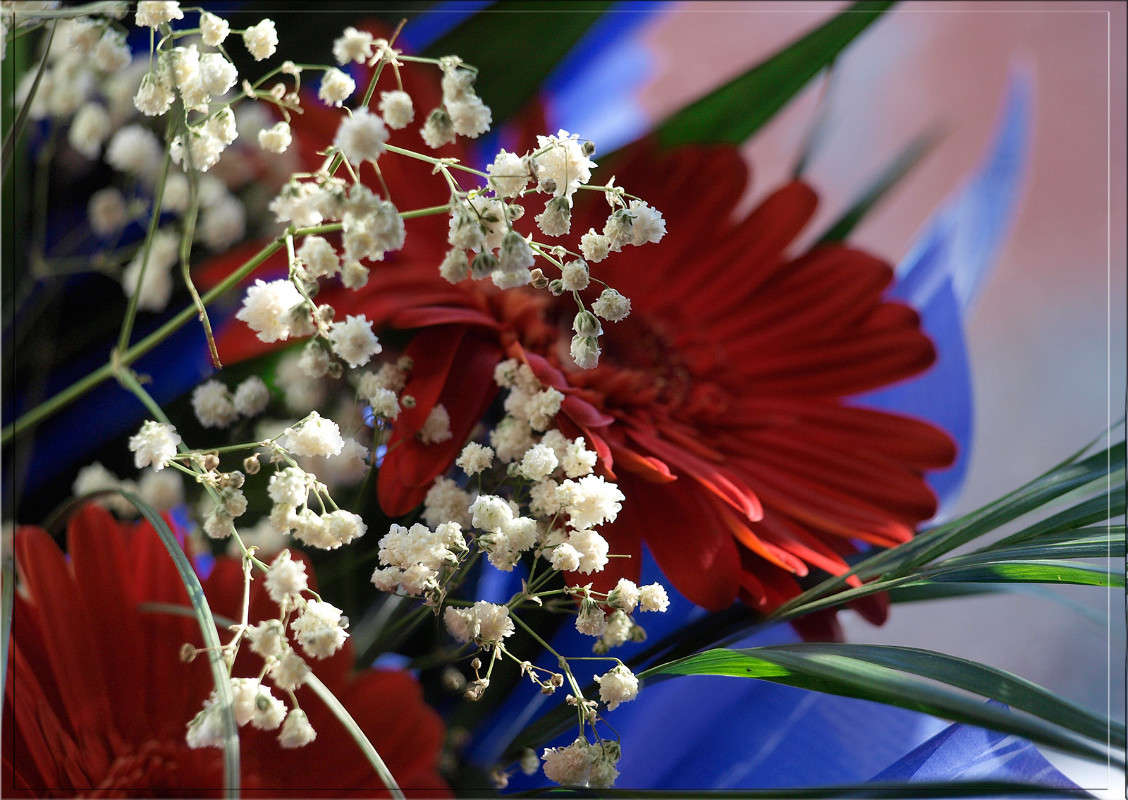 ���������� ����� ������  �� PhotoGeek.ru #�������� ����������