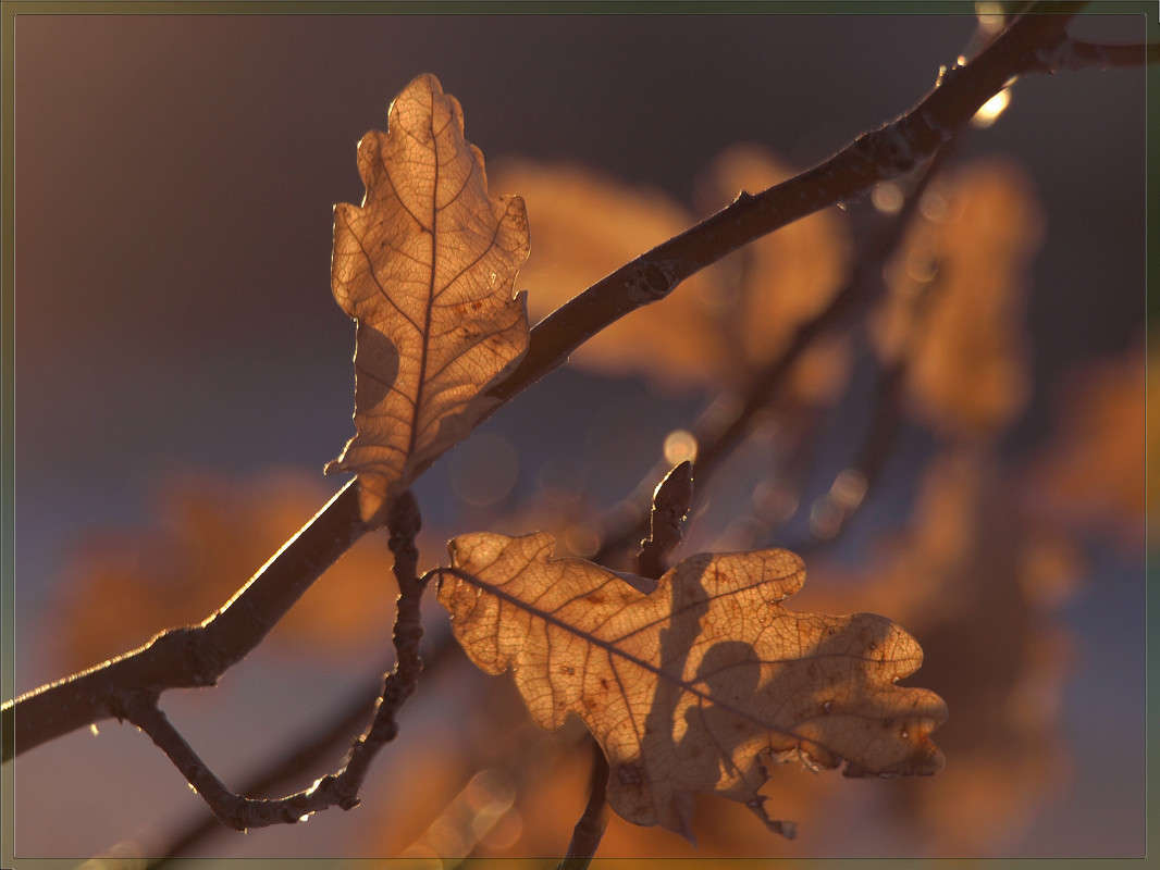 ������ 22 ����� ������  �� PhotoGeek.ru #������ ��� �������