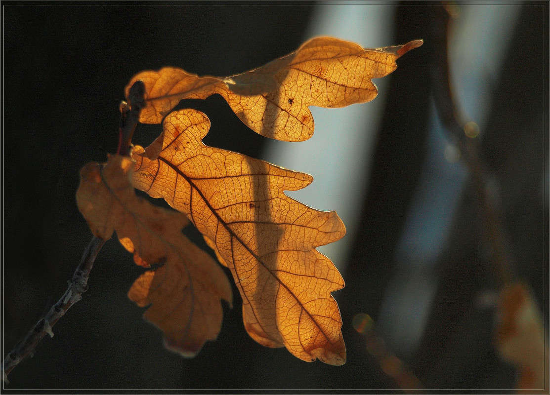 ���� 23 .jpg ����� ������  �� PhotoGeek.ru #������ ��� �������