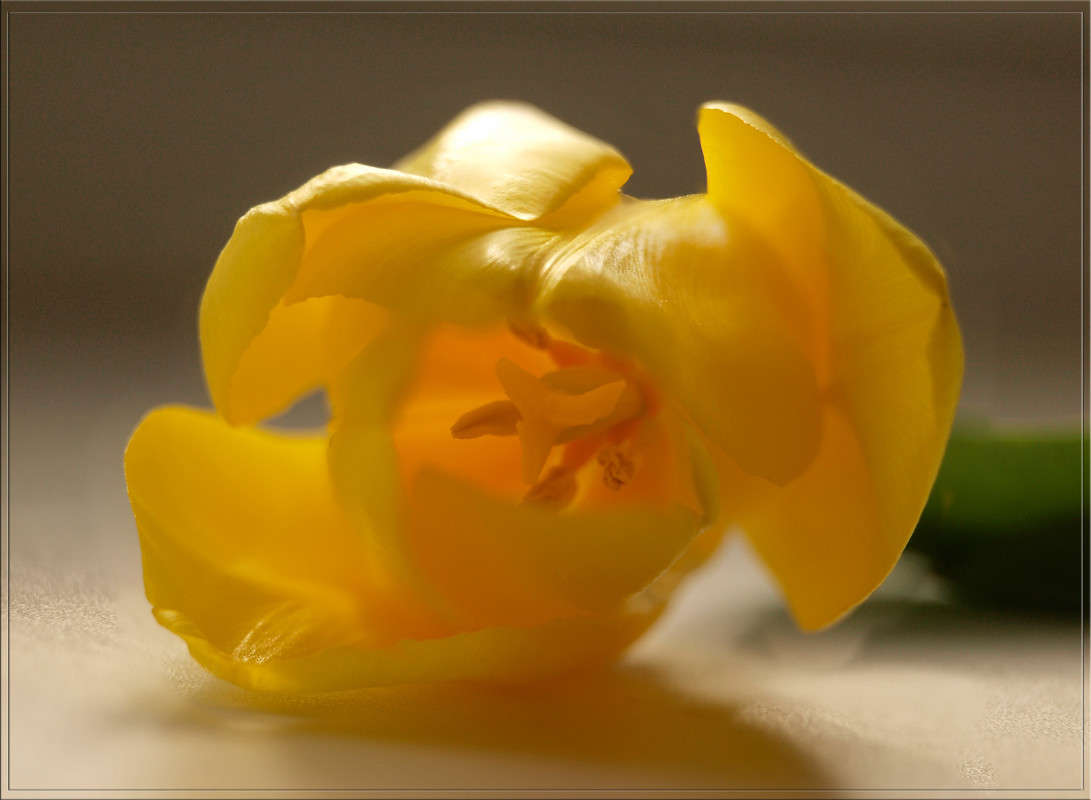 �� ������ ����� ������  �� PhotoGeek.ru #�����