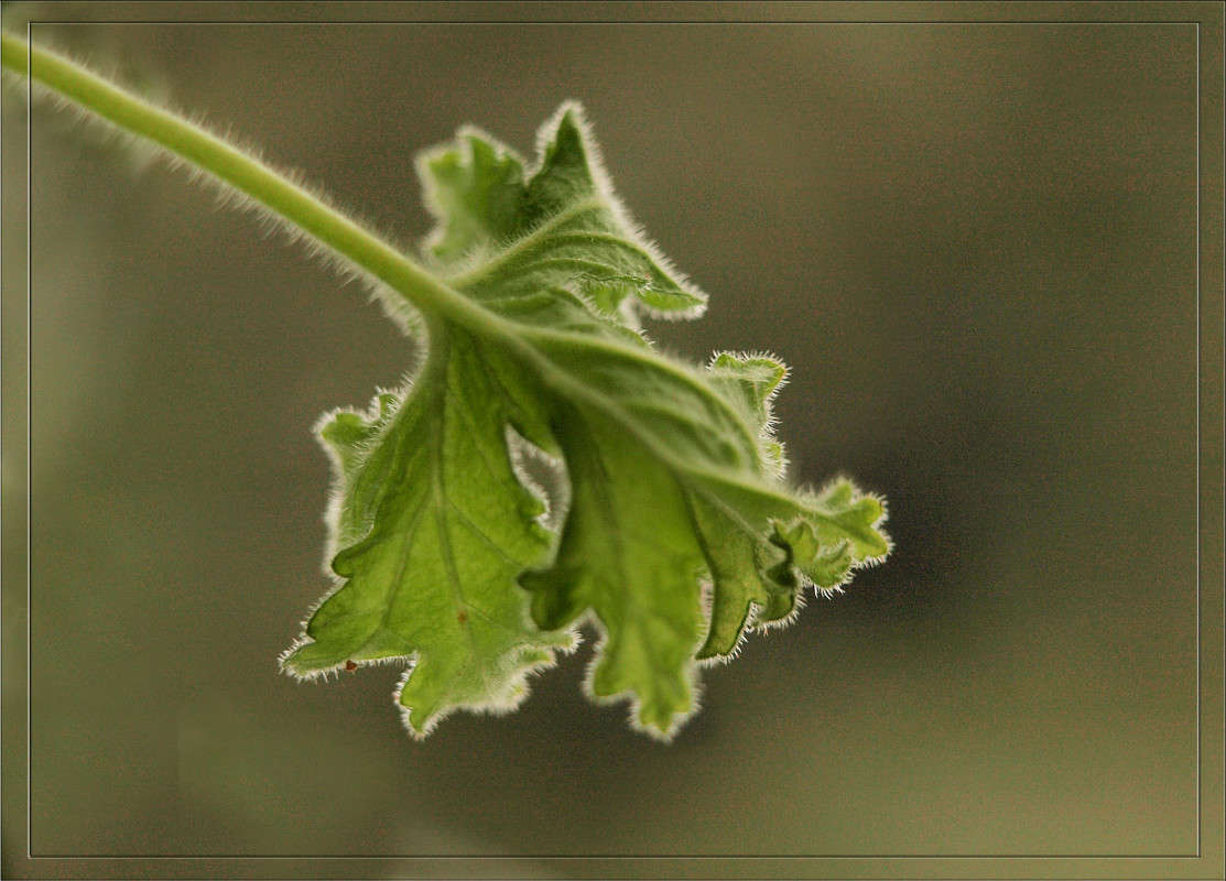 ���� 24 ����� ������  �� PhotoGeek.ru #������ ��� �������