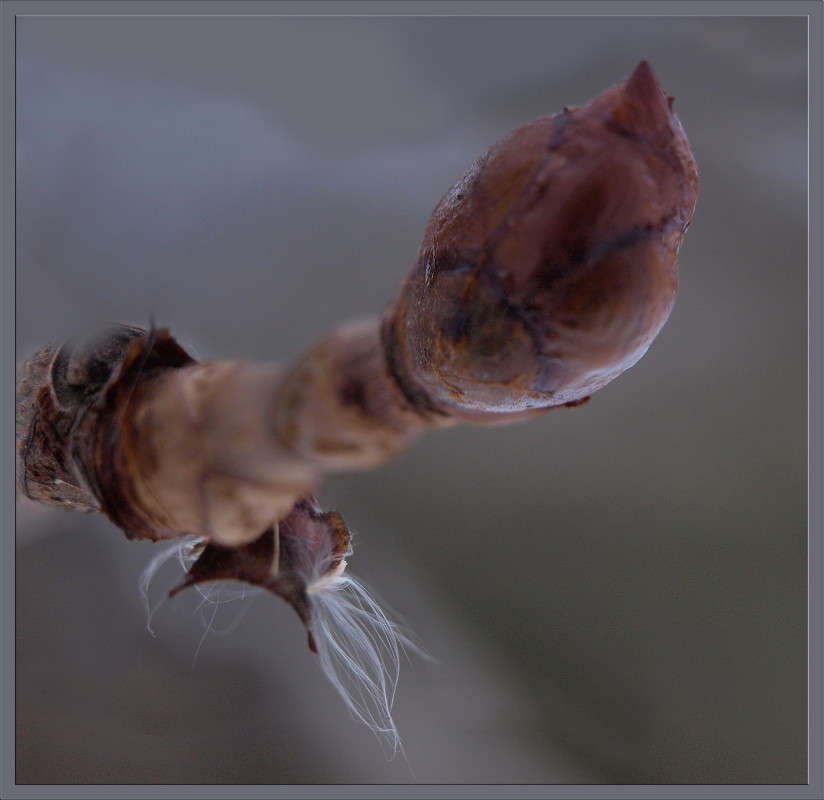 ���� ����� ����� ������  �� PhotoGeek.ru #������ ��� �������