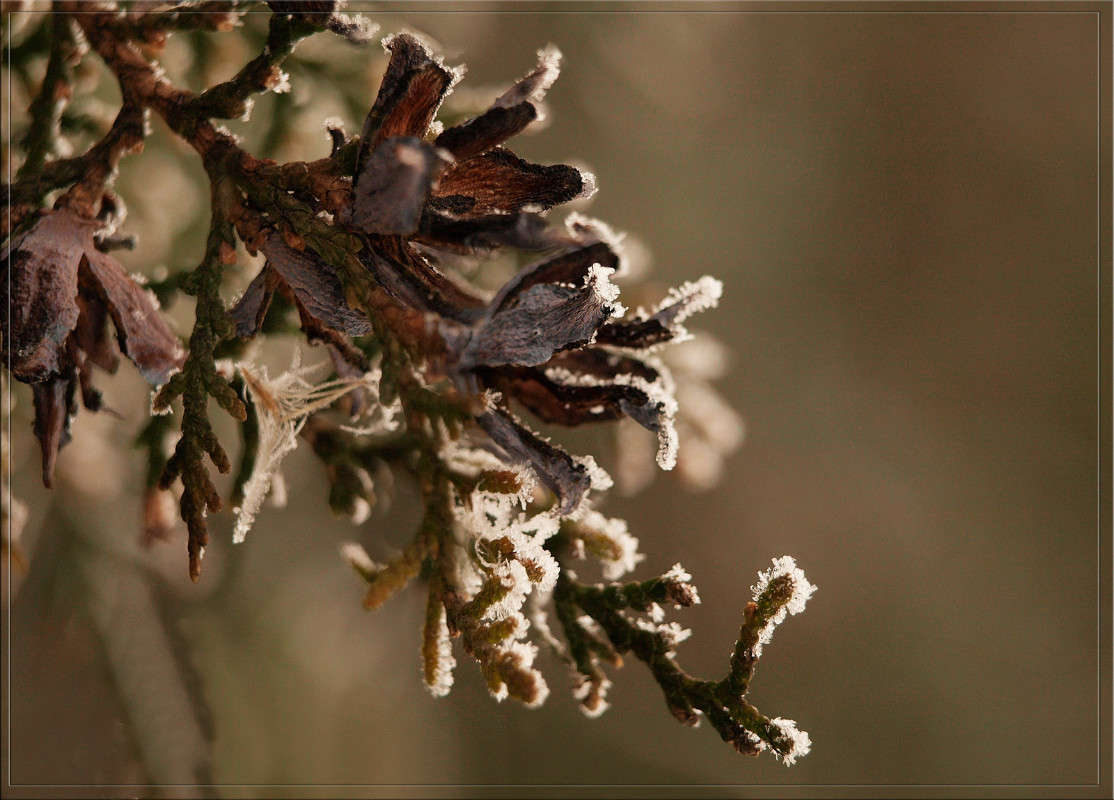 ����� � ��������� ����� ������  �� PhotoGeek.ru #������ ��� �������