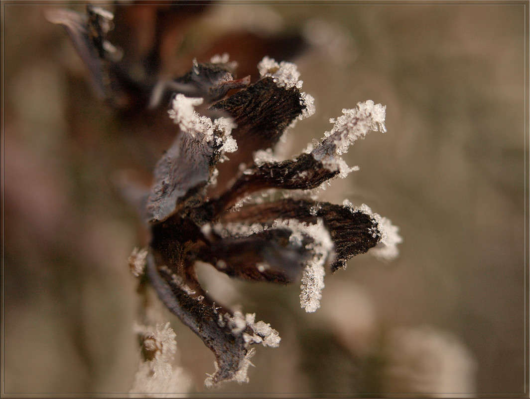 � ��������� ����� ������  �� PhotoGeek.ru #�����