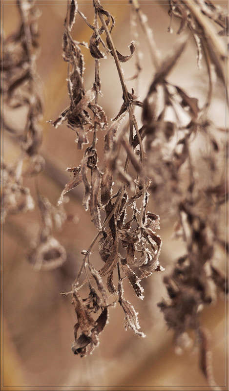 ������ ������ ������� ����� ������  �� PhotoGeek.ru #������ ��� �������