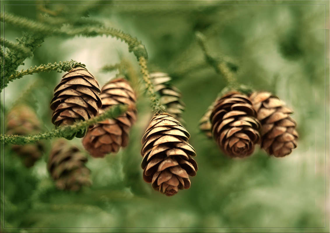 ������� ����� ������  �� PhotoGeek.ru #������ ��� �������