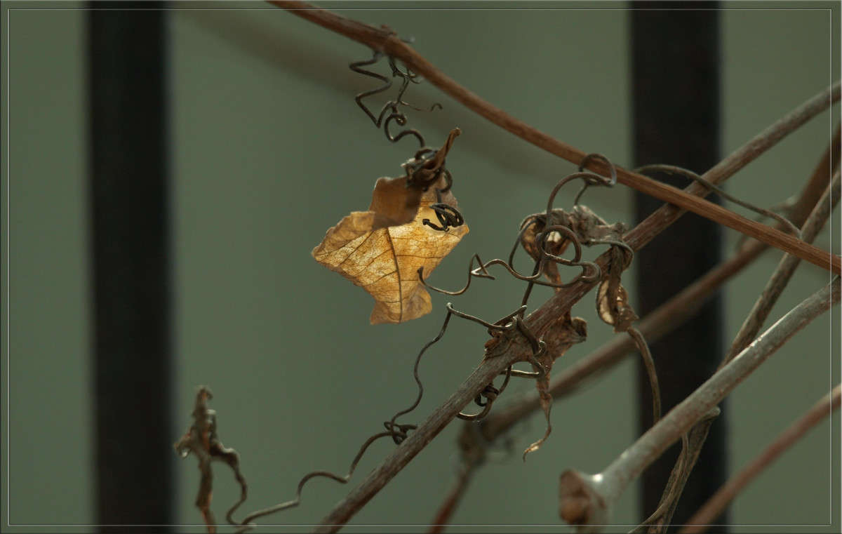 ������ � ������� ����� ������  �� PhotoGeek.ru #������ ��� �������