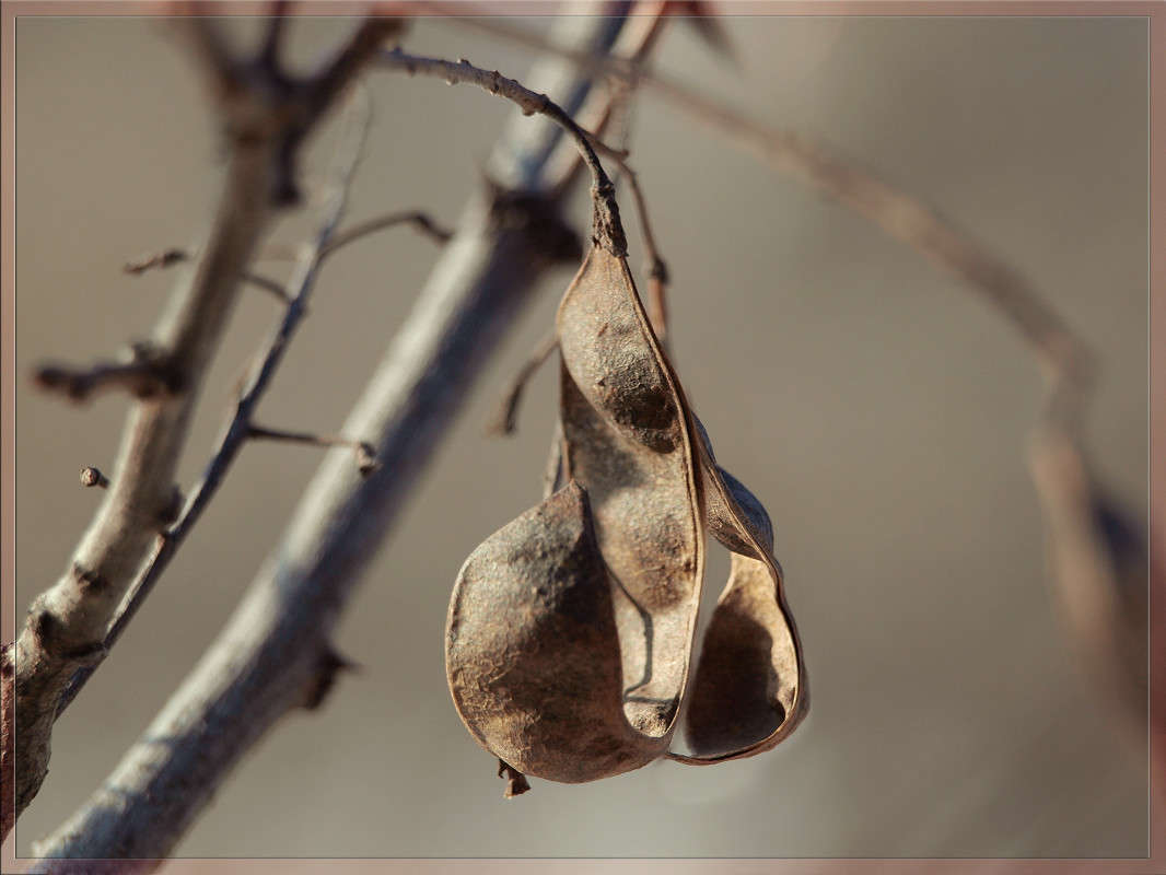 ���� �� ������� ����� ������  �� PhotoGeek.ru #������ ��� �������