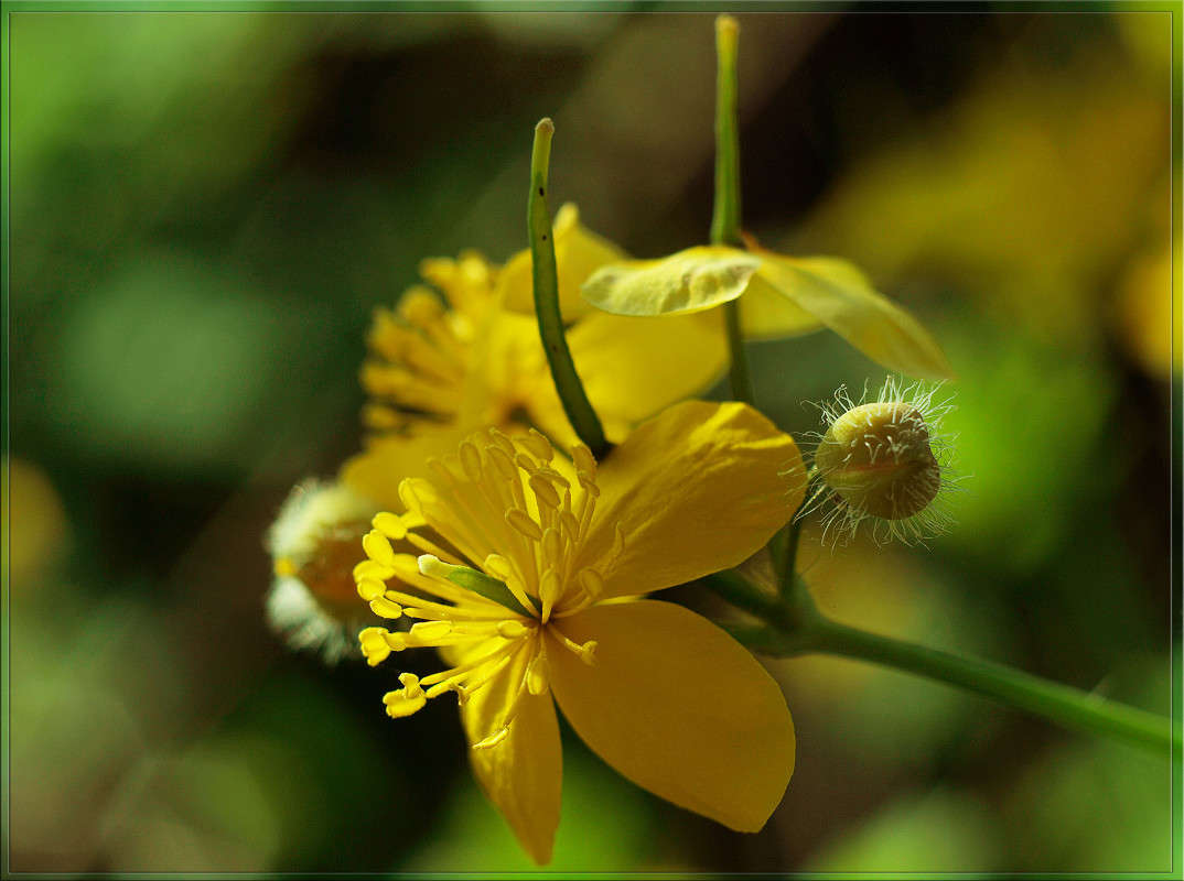 ������������ ����� ������  �� PhotoGeek.ru #������ ��� �������