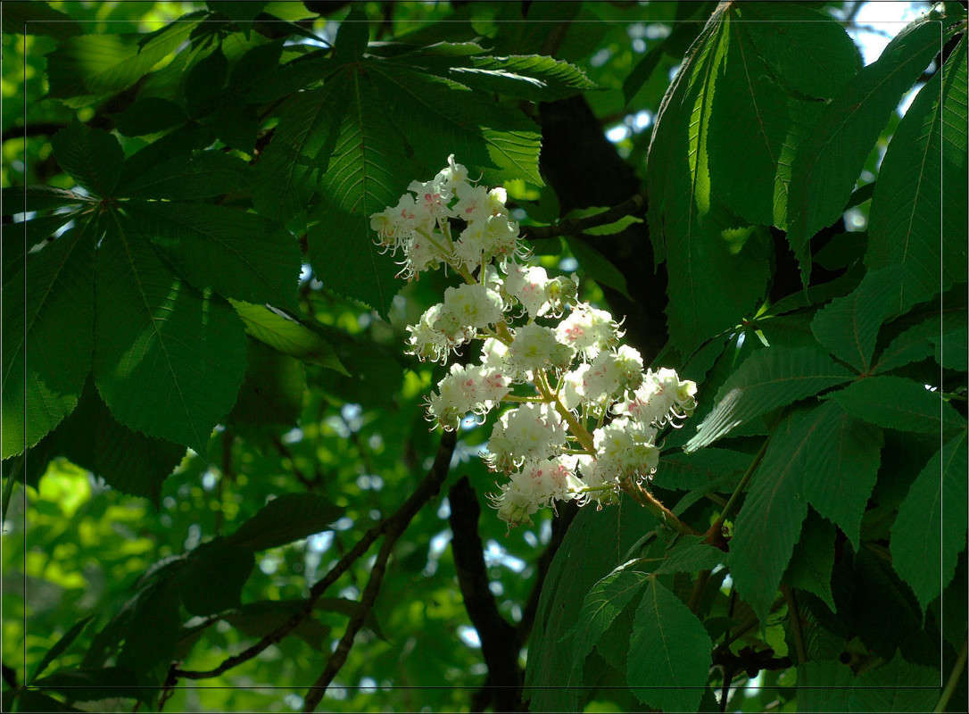 �  ������ � ����� ����� ������  �� PhotoGeek.ru #������ ��� �������