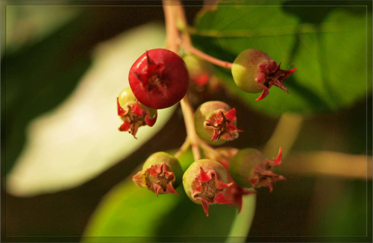 ���� �����  2 ����� ������  �� PhotoGeek.ru #������ ��� �������