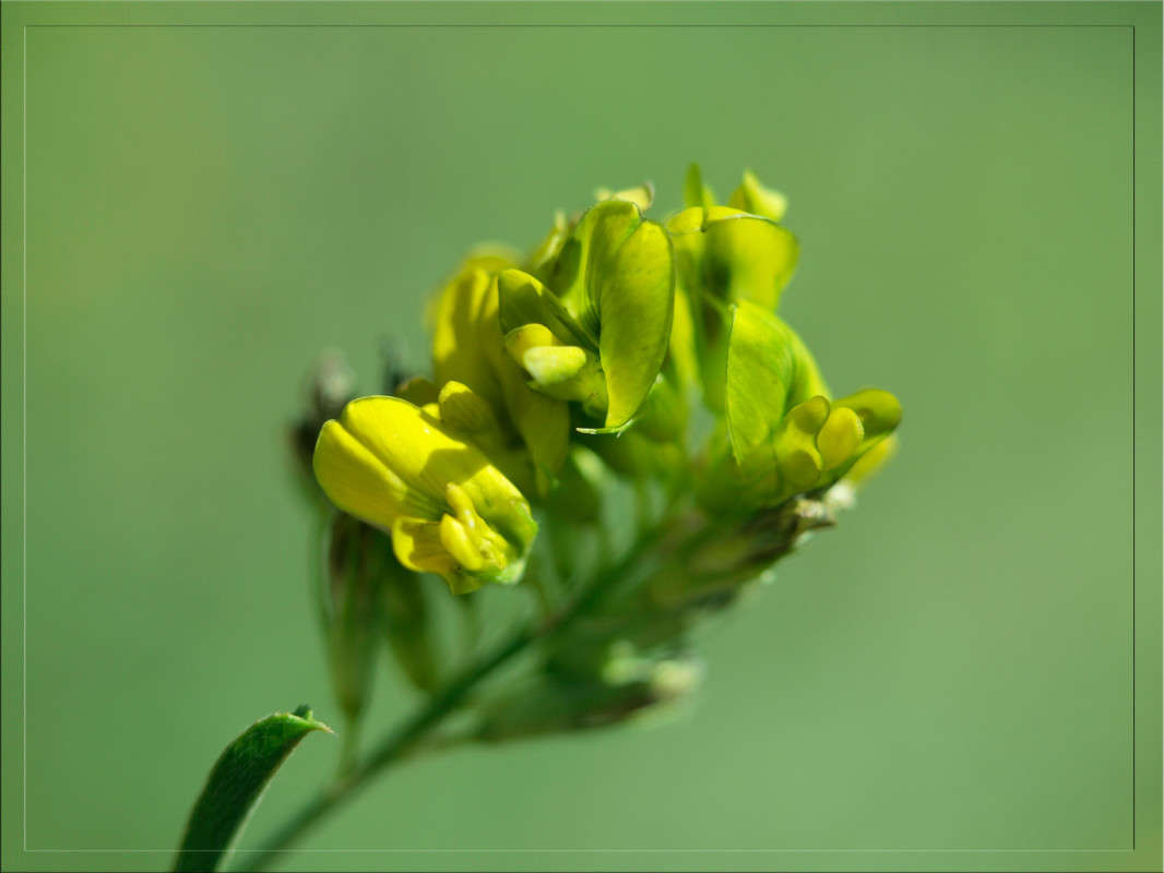 ���� �����  4 ����� ������  �� PhotoGeek.ru #������ ��� �������