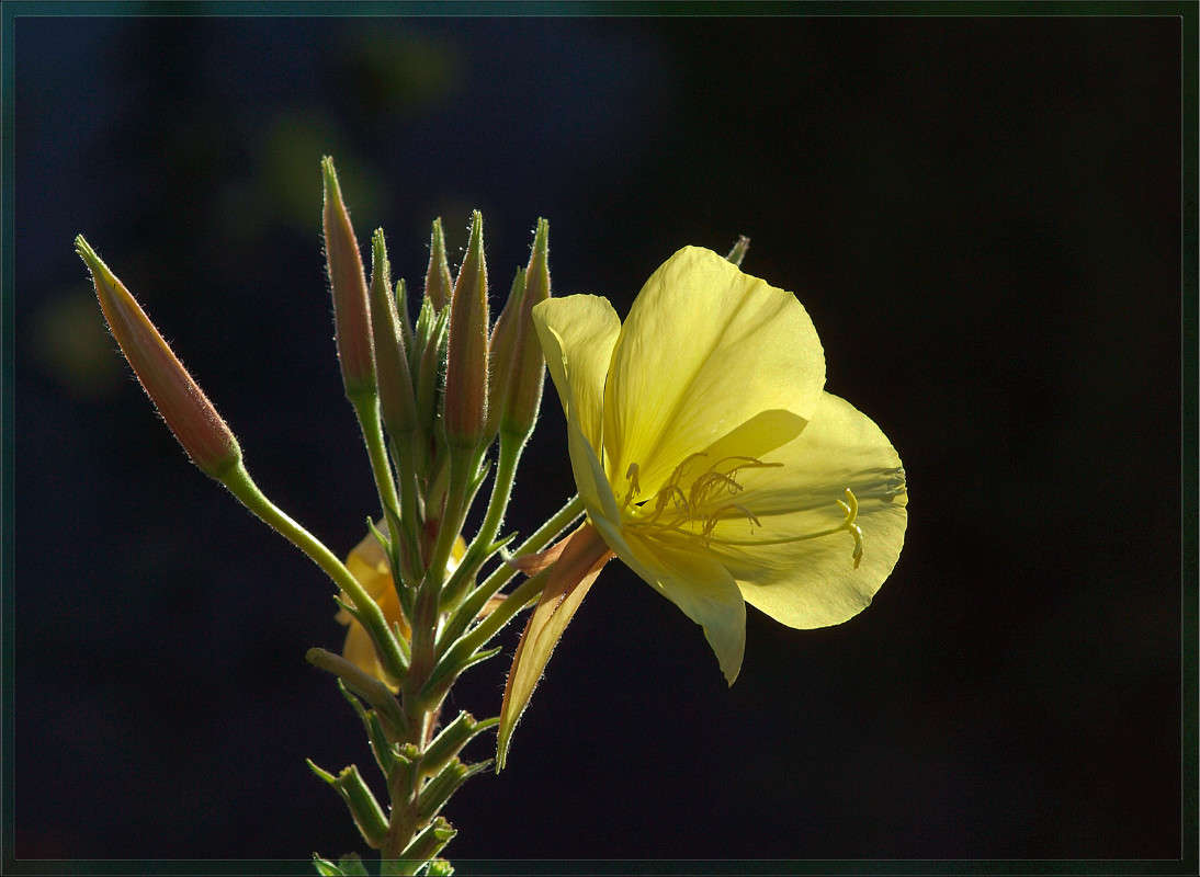 ���� ����� 6 ����� ������  �� PhotoGeek.ru #������ ��� �������