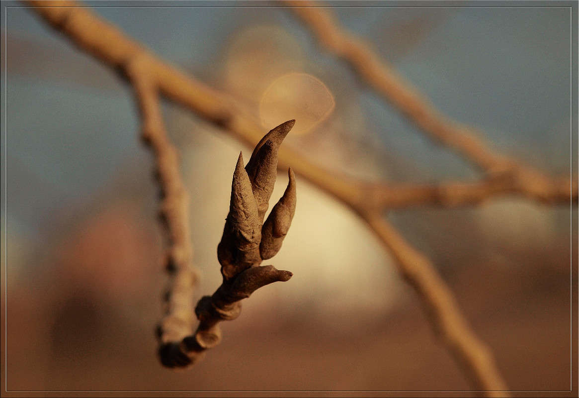 �������� ����� ����� ������  �� PhotoGeek.ru #������ ��� �������