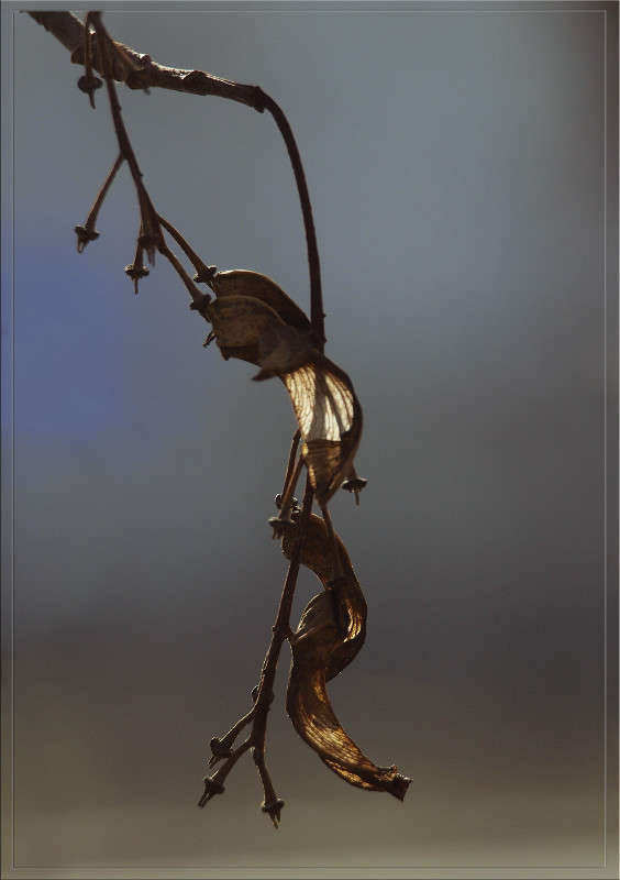 ���� ������ �� ��������� ����� ������  �� PhotoGeek.ru #������ ��� �������