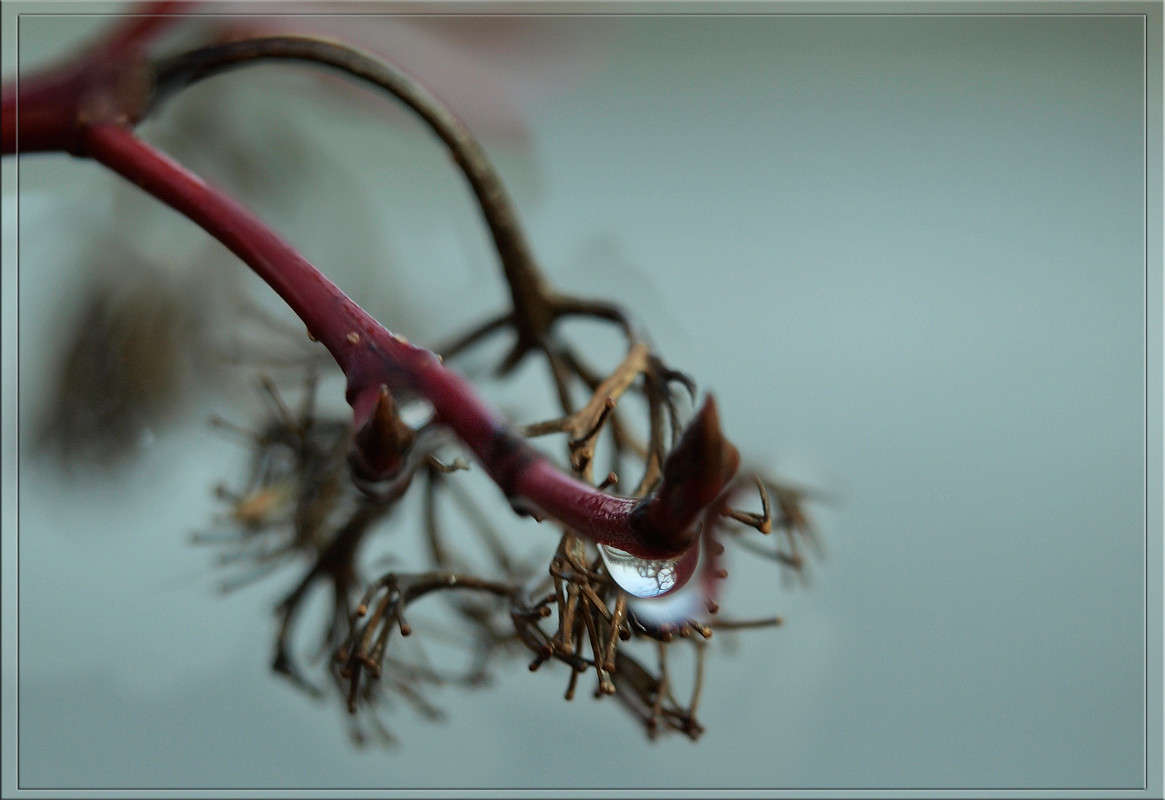 ������� ��������� ����� ������  �� PhotoGeek.ru #������ ��� �������