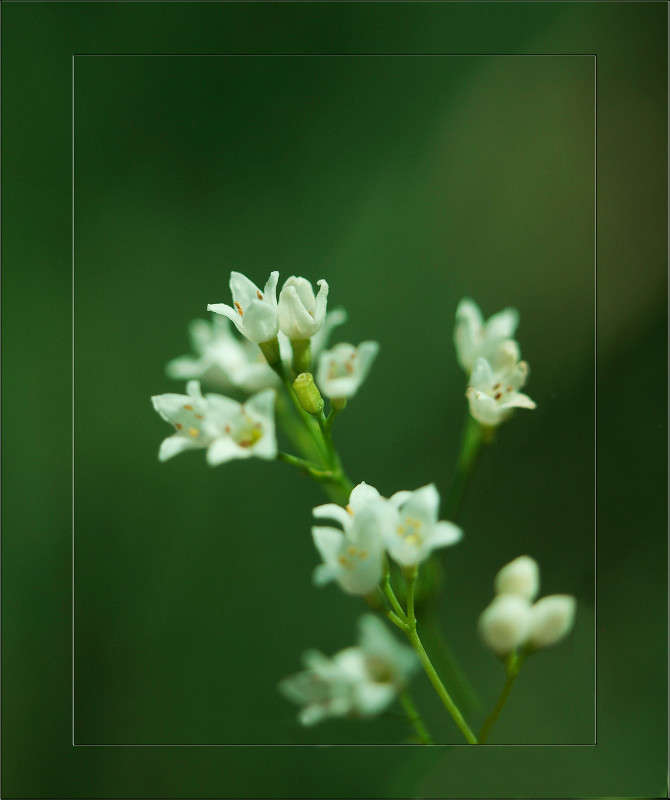 ����������� ����� ������  �� PhotoGeek.ru #������ ��� �������