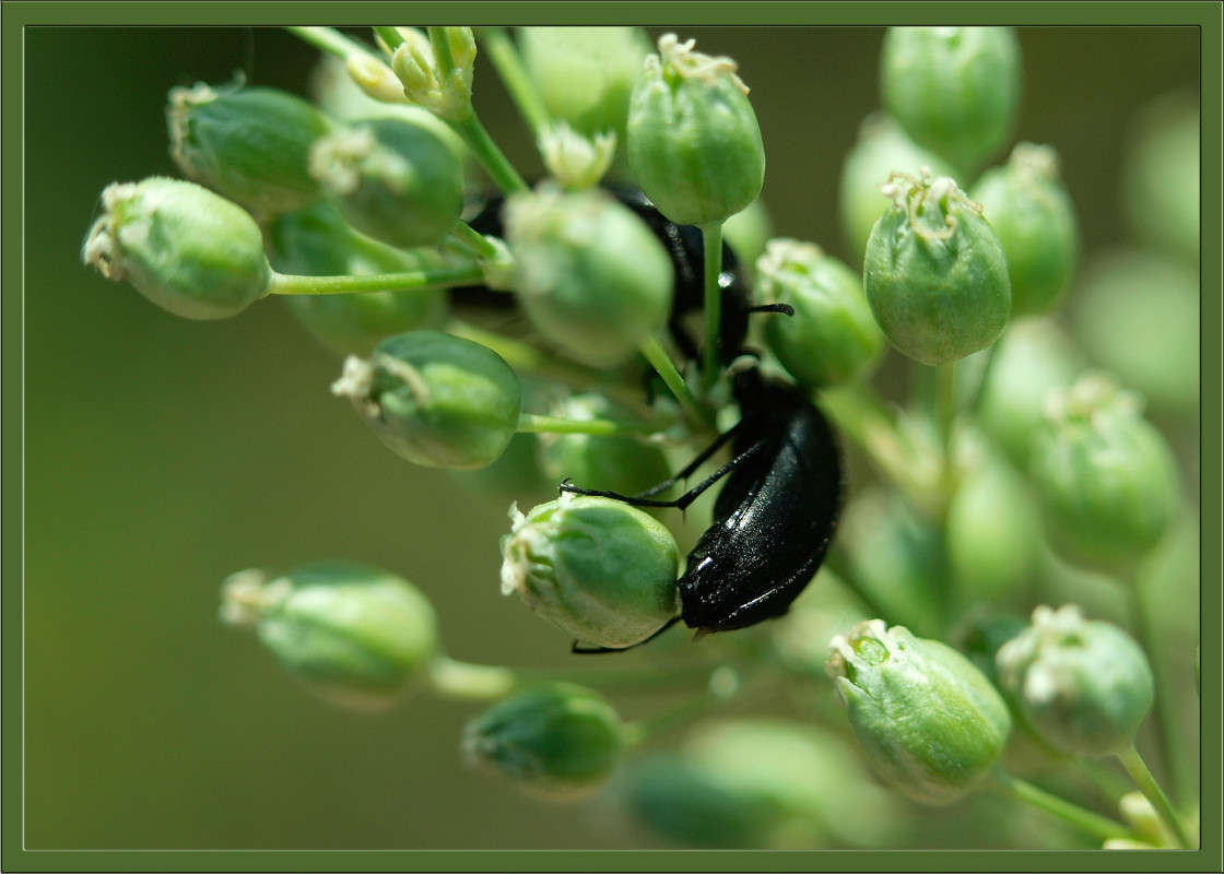 ��������� ����� ������  �� PhotoGeek.ru #�����