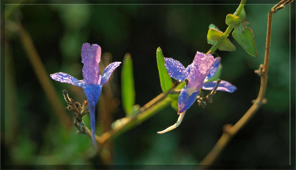 �������� ���� ����� ������  �� PhotoGeek.ru #������ ��� �������