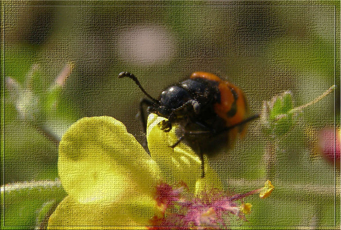 ��������� ��������� ����� ������  �� PhotoGeek.ru #�����