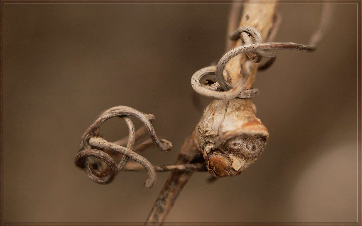 �������� ����� ������  �� PhotoGeek.ru #�����